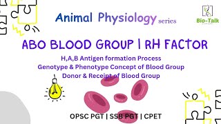 Blood Groups | ABO Blood Group System | Animal Physiology Series| OPSC /SSB PGT | SSB lecture |CPET