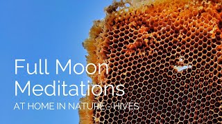Full Moon Meditation, June 2024 - At Home in Nature: Hives
Hives are powerful symbols of community and cooperation. They represent intricate balance and harmony, where each member plays a vital role in the wellbeing of the whole. Within these vibrant hubs, we witness the beauty of interconnectedness, hard work, and meticulous organisation. Just as bees work together to create a thriving environment, we too can draw inspiration from their unity and dedication.
See www.treesisters.org/full-moon-meditations Full Moon Meditation, June 2024 - At Home in Nature: Hives