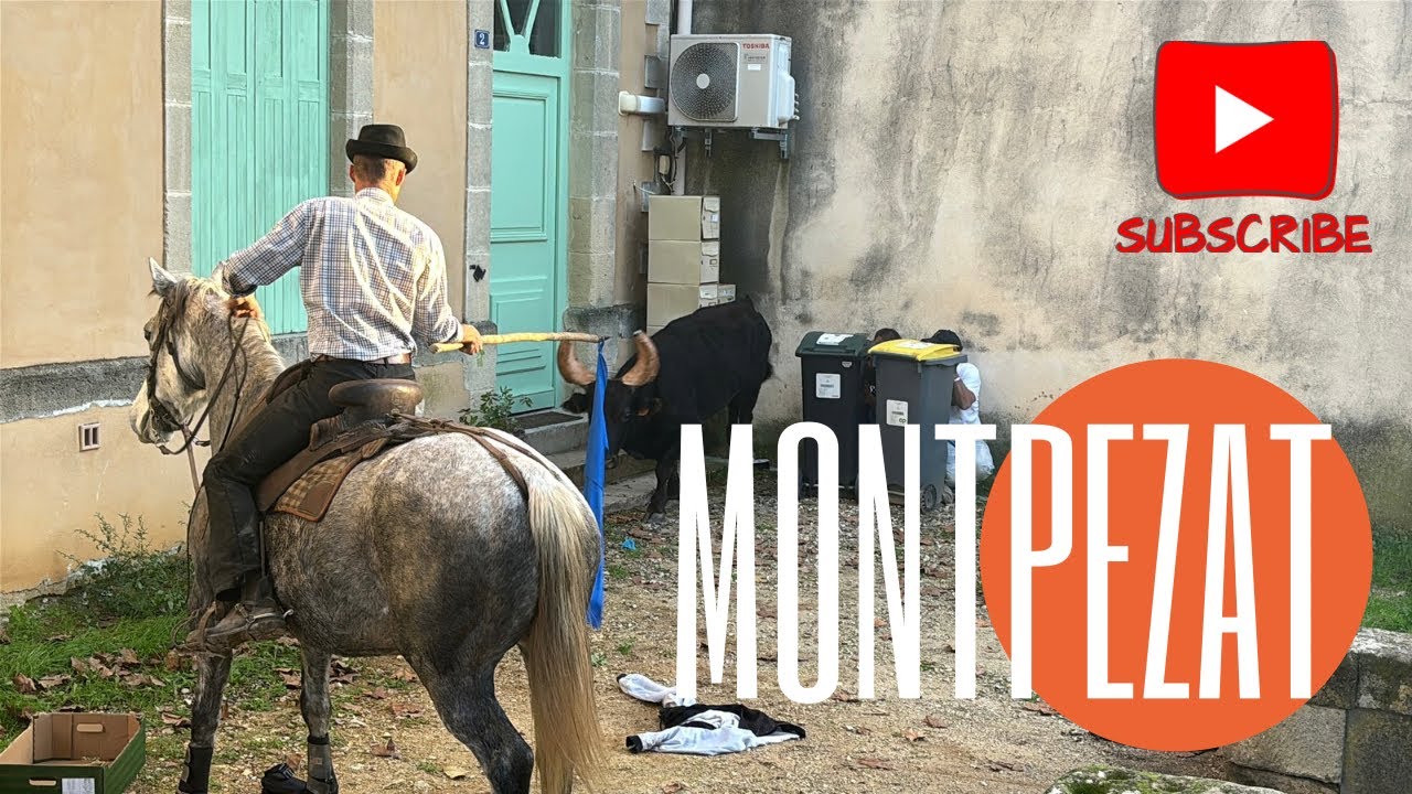 Grosse frayeur 🙀 pendant la Bandido ➡️ Montpezat 🇫🇷 02/11/24 après-midi #aficionados