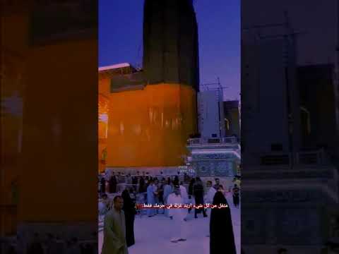 ستوريات حسينية مسلم الوائلي اخذني لعالمك مابين كل اهلي واحس غربه مرقد الامام علي حالات واتساب حزينة
