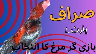 بازی گر اصیل مرغ کا انتخاب|| پارٹ ون|| #aseelbythak by Sohail cadet# screenshot 4