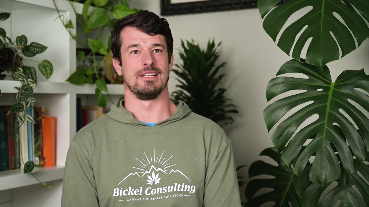 Our Story – Bickel Consulting