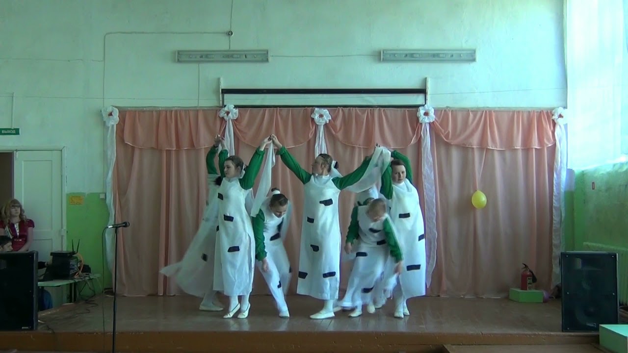 От чего так в России берёзы шумят