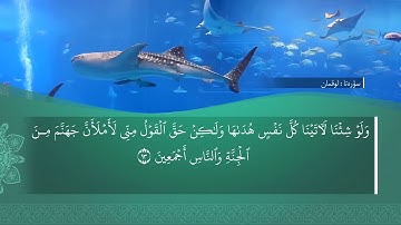ته فسيرا سوره تا السجدة