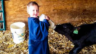 Kids and Animals Unite! | Cuteness Overload 🥹