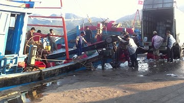 Chiều trên cảng cá Lương Sơn