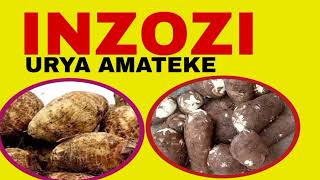 KUROTA URYA AMATEKE BUJYA BISOBANUYE IKINTU KIZA KURIKIRA VIDEO YOSE