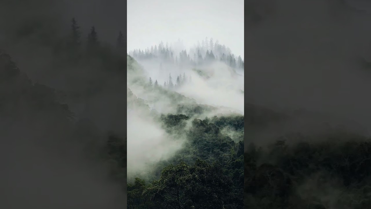 VSCO Recipe✨ || Mount Green 