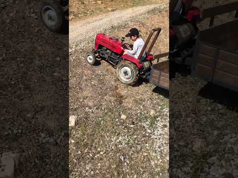 MF Mini traktör sesi