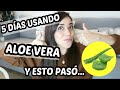 5 DIAS de usar ALOE VERA para la CARA🍃aplicar aloe vera en el rostro