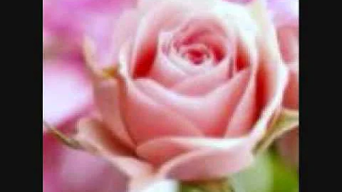 When God Unfolds the Rose