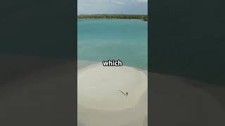 The Most Isolated Island on Earth #NorthSentinelIsland #isolatedtribe #mysteryisland #hiddenfact