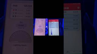 Fh-100 Par Meter Vs 1000Usd Meter For Pure Blue Light.
