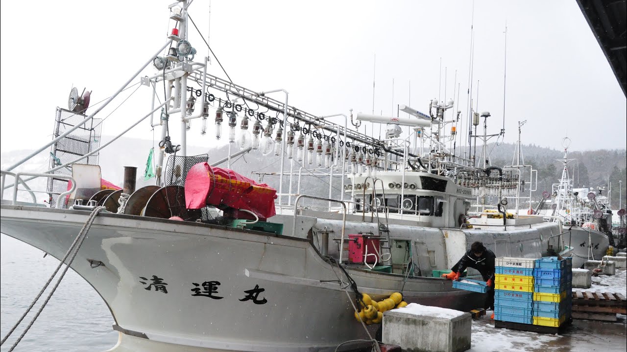 奥尻島　タラ網漁　荷揚げ作業　2024年1月9日