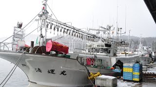 奥尻島　タラ網漁　荷揚げ作業　2024年1月9日