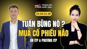 Chứng Khoán Mỗi Tối | Vnindex Có Bùng Nổ Không - Bắt Đáy Cổ Phiếu Được Chưa?
