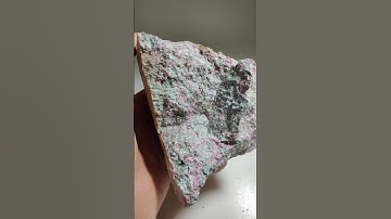 Rubies in Kyanite Schist. From India.