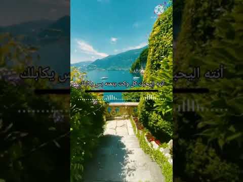 اغنيه اشكد حلو اصيل هميم