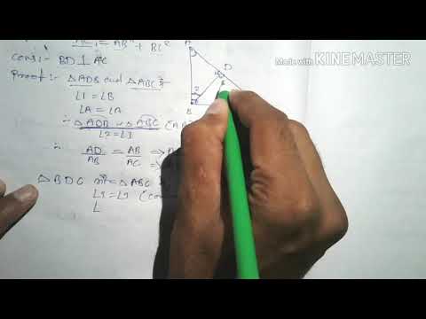 PYTHAGORAS THEOREM || GEOMETRY CLASS10 || HINDI