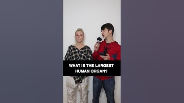 General Trivia Questions & Answers