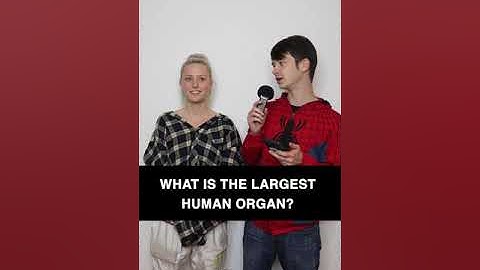 General Trivia Questions & Answers