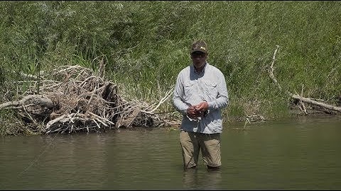 How To Make An Overhead Cast - RIO Products
