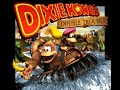 Donkey Kong Country 3 25th Anniversary Stream Final Part. 103% NO DEATH RUN