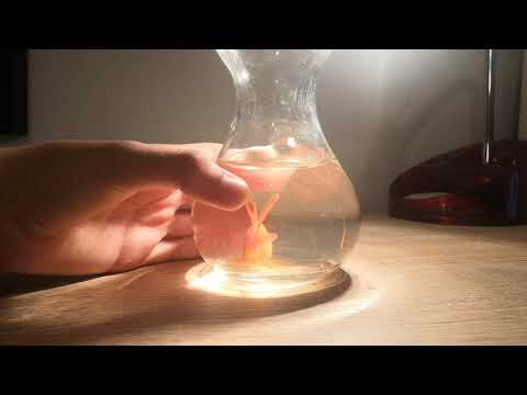 Βίντεο: Πώς να φτιάξετε ένα χρυσόψαρο