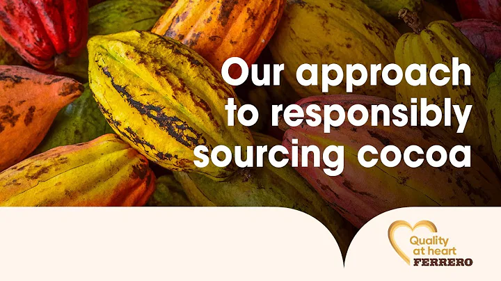 Our approach to responsibly sourcing cocoa | Quality at heart