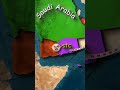 سعودی عربیہ نے یمن پر حملہ کیا اصل میں یہ عرب امارات پر حملہ ہے۔#saudiarabia #Pakistan #uae #shorts