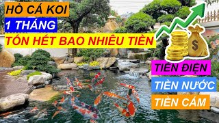 Hồ cá koi vận hành 1 tháng tốn hết bao nhiêu tiền ? Cách tính tiền điện, tiền nước, tiền cám hồ koi