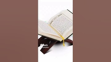 من [الجزء الرابع والعشرين] للقارئ أمين موسى.