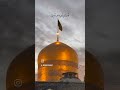 بنده نواز برس به داد این کبوتر تشنه حرم ابا عبدالله رونظری کن به دل شکسته وقرق خجالتش