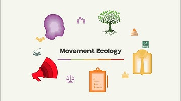 Introduction to Movement Ecology