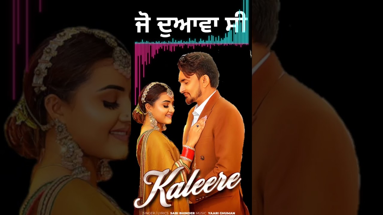 kaleere sabi bhinder new status video