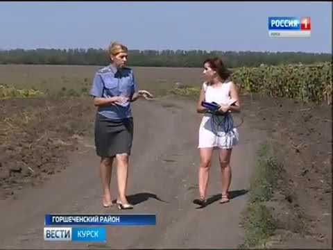 Типичное горшечное сайт
