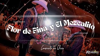 Miniatura del video "Los Rugar  - LA FLOR DE PIÑA - EL MEZCALITO - En vivo en San Juan Teotihuacan"