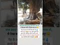 जब 200 साल पुराना पेड़ काटा गया तो 😭 | save trees 🌳 #tree #trees #facts #sad #shorts #short #gk #yt