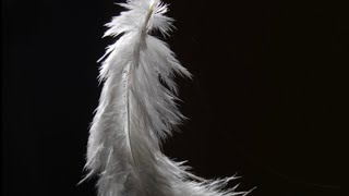 Channelled messages from your person 📩❤️