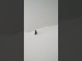 deep snow adventures w/ @NicoVuignier 😶‍🌫️