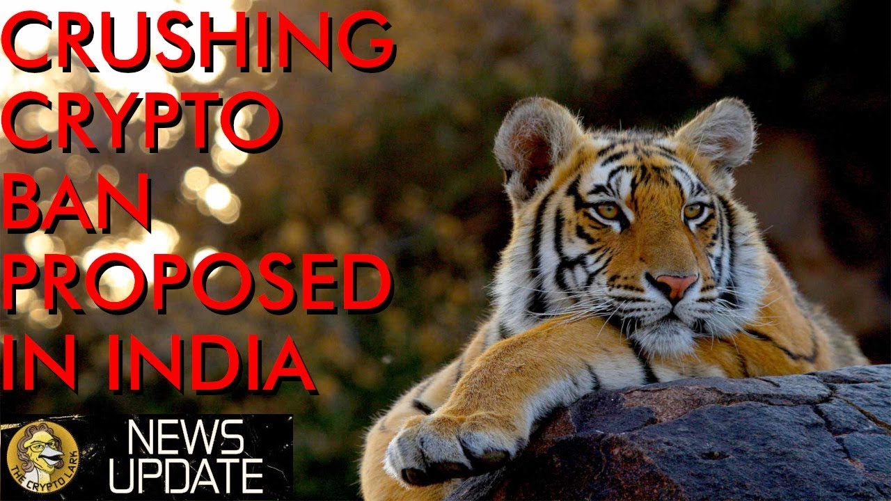 Crushing Crypto Ban Proposed In India
