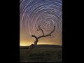 Stars Circle the Southern Celestial Pole