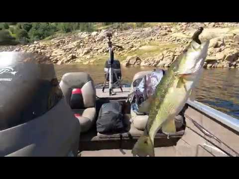 DON'T BUY this JUNK!! Reel Review: 13 CREED LTE Fishing Reel DON'T BUY this JUNK!! Reel Review: 13 CREED LTE Fishing Reel