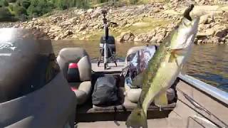 DON'T BUY this JUNK!! Reel Review: 13 CREED LTE Fishing Reel - YouTube DON'T BUY this JUNK!! Reel Review: 13 CREED LTE Fishing Reel - YouTube