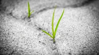 screenshot of the youtube video