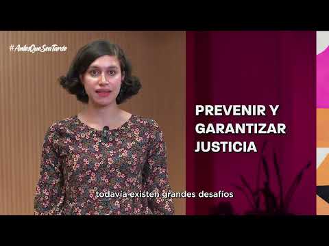 Reconocer el riesgo, proteger la vida. Guía Técnica para evaluar el riesgo feminicida.