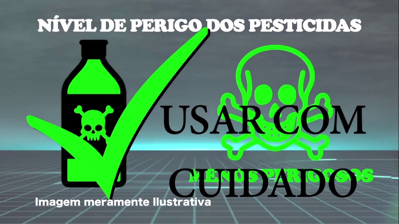 TRAÇA DA COUVE EM MOÇAMBIQUE - YouTube