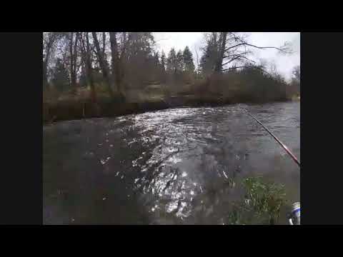 What to Use when Fishing for Suckers