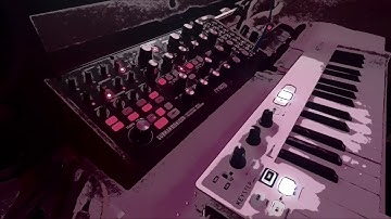 Intrigued - Moog Subharmonicon with Korg Volca Keys & Drum - Down Tempo Groove