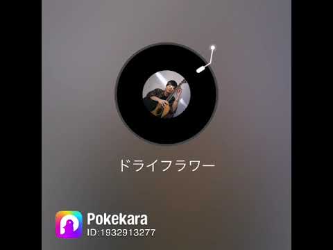 ドライフラワーを歌ってみたよー。下手だけど、聞いてみてね。